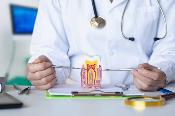 Best Urgent Care for Lost Fillings or Crowns in Midland, PA